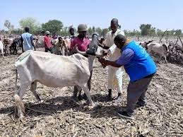 Qurban Food Distribution